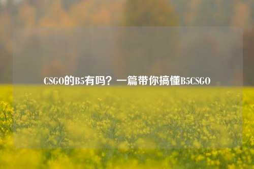 CSGO的B5有吗？一篇带你搞懂B5CSGO