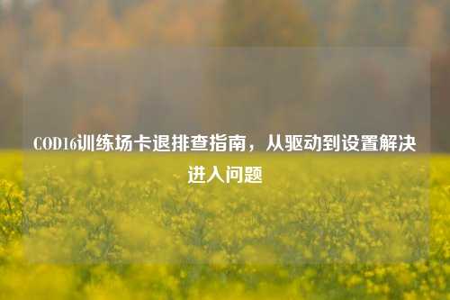 COD16训练场卡退排查指南,从驱动到设置解决进入问题