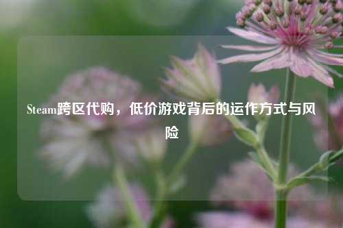Steam跨区代购，低价游戏背后的运作方式与风险