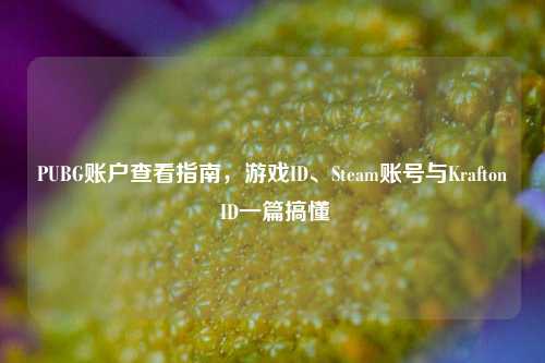 PUBG账户查看指南,游戏ID、Steam账号与Krafton ID一篇搞懂