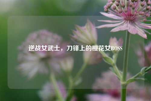 逆战女武士,刀锋上的樱花女BOSS