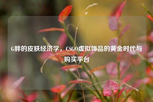 G胖的皮肤经济学，CSGO虚拟饰品的黄金时代与购买平台
