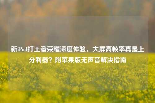 新iPad打王者荣耀深度体验,大屏高帧率真是上分利器?附苹果版无声音解决指南