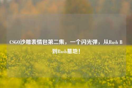 CSGO沙雕表情包第二集，一个闪光弹，从Rush B到Rush墓地！