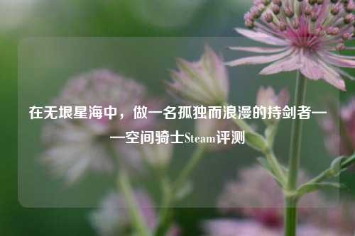 在无垠星海中,做一名孤独而浪漫的持剑者——空间骑士Steam评测