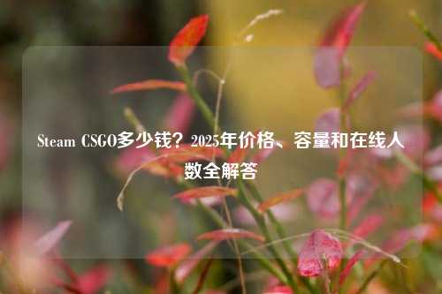 Steam CSGO多少钱?2025年价格、容量和在线人数全解答