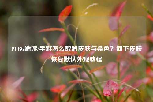 PUBG端游/手游怎么取消皮肤与染色?卸下皮肤恢复默认外观教程
