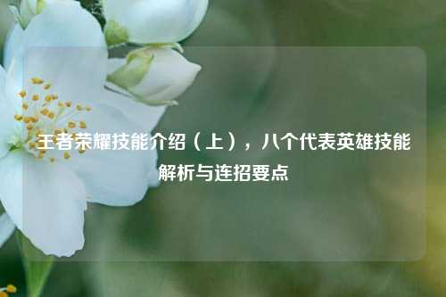 王者荣耀技能介绍（上），八个代表英雄技能解析与连招要点