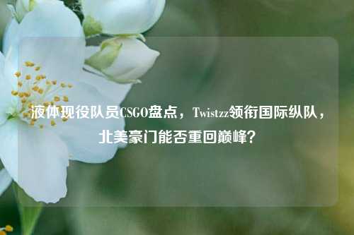 液体现役队员CSGO盘点，Twistzz领衔国际纵队，北美豪门能否重回巅峰？