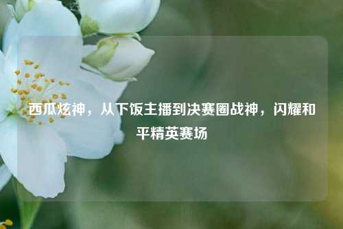 西瓜炫神，从下饭主播到决赛圈战神，闪耀和平精英赛场