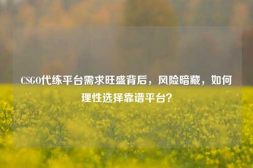 CSGO代练平台需求旺盛背后,风险暗藏,如何理性选择靠谱平台?