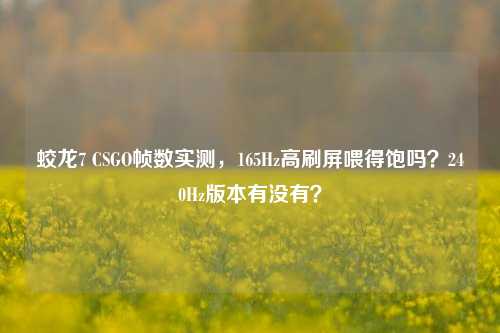 蛟龙7 CSGO帧数实测，165Hz高刷屏喂得饱吗？240Hz版本有没有？