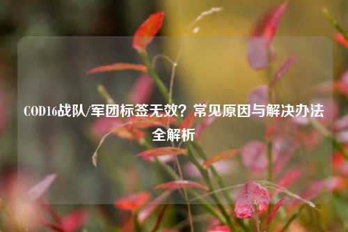 COD16战队/军团标签无效？常见原因与解决办法全解析