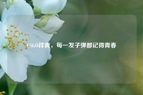 CSGO祥青，每一发子弹都记得青春