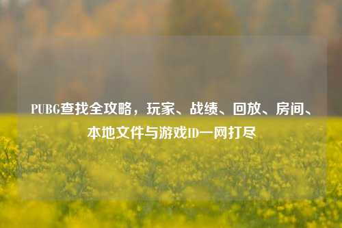 PUBG查找全攻略，玩家、战绩、回放、房间、本地文件与游戏ID一网打尽