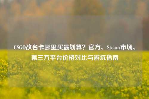 CSGO改名卡哪里买最划算？官方、Steam市场、第三方平台价格对比与避坑指南