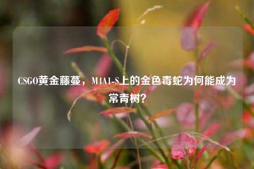 CSGO黄金藤蔓,M4A1-S上的金色毒蛇为何能成为常青树?