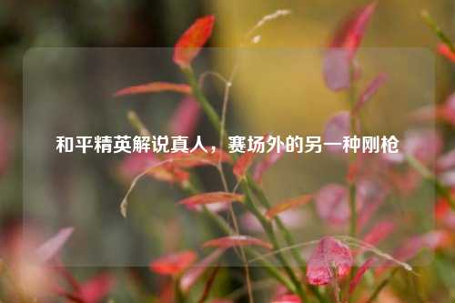 和平精英解说真人,赛场外的另一种刚枪