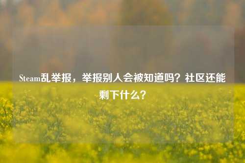 Steam乱举报,举报别人会被知道吗?社区还能剩下什么?