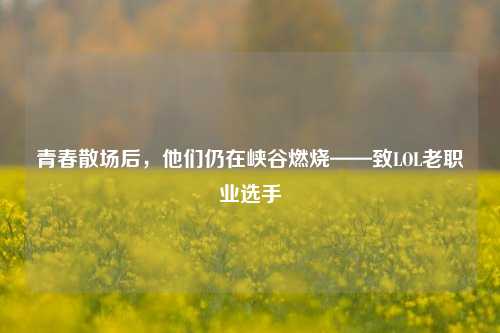 青春散场后，他们仍在峡谷燃烧——致LOL老职业选手