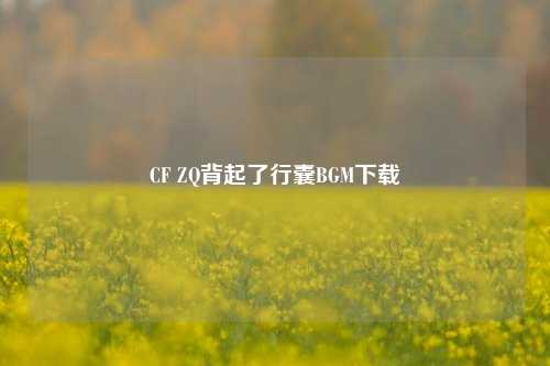 CF ZQ背起了行囊BGM下载