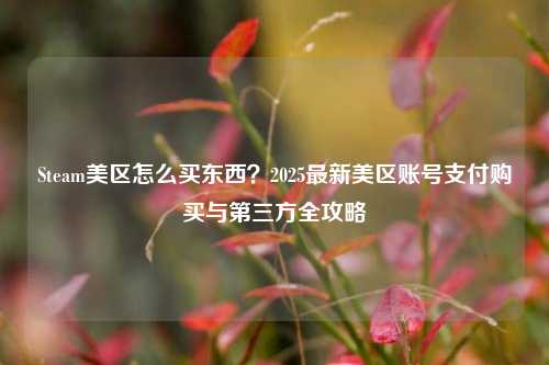 Steam美区怎么买东西?2025最新美区账号支付购买与第三方全攻略