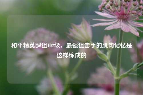 和平精英瞬狙102级，最强狙击手的肌肉记忆是这样练成的