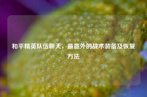 和平精英队伍聊天，最意外的战术装备及恢复方法