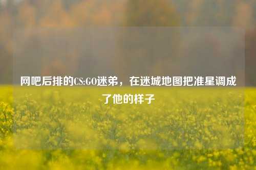 网吧后排的CS:GO迷弟，在迷城地图把准星调成了他的样子