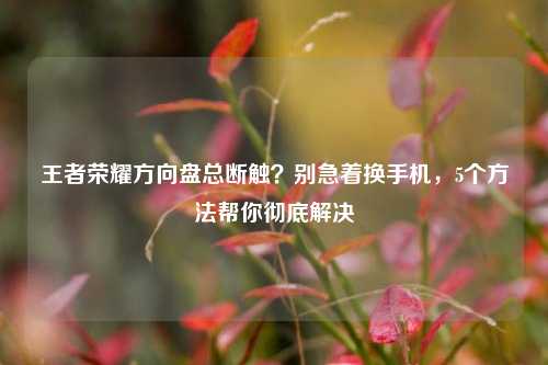 王者荣耀方向盘总断触？别急着换手机，5个方法帮你彻底解决