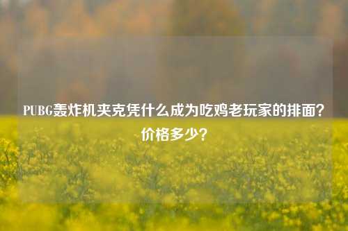 PUBG轰炸机夹克凭什么成为吃鸡老玩家的排面?价格多少?