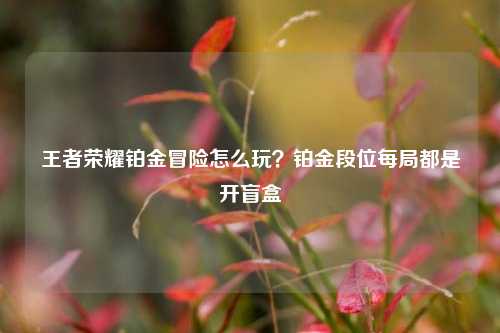 王者荣耀铂金冒险怎么玩？铂金段位每局都是开盲盒