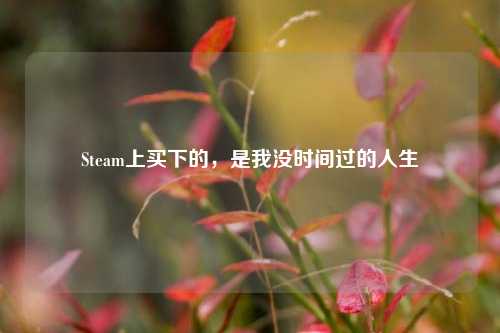 Steam上买下的，是我没时间过的人生