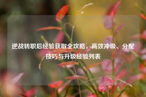 逆战转职后经验获取全攻略，高效冲级、分配技巧与升级经验列表
