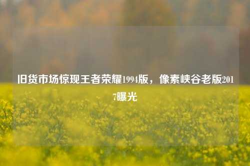 旧货市场惊现王者荣耀1994版,像素峡谷老版2017曝光