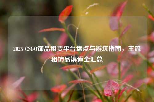 2025 CSGO饰品租赁平台盘点与避坑指南，主流租饰品渠道全汇总