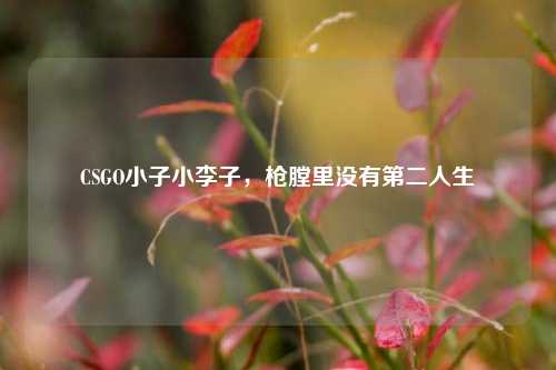 CSGO小子小李子，枪膛里没有第二人生