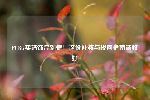 PUBG买错饰品别慌！这份补救与找回指南请收好