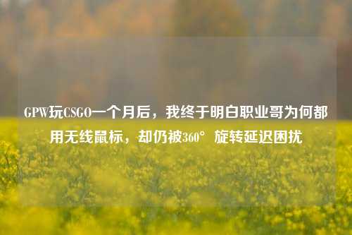 GPW玩CSGO一个月后,我终于明白职业哥为何都用无线鼠标,却仍被360°旋转延迟困扰