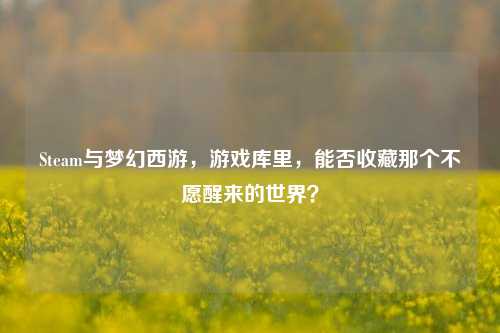 Steam与梦幻西游，游戏库里，能否收藏那个不愿醒来的世界？