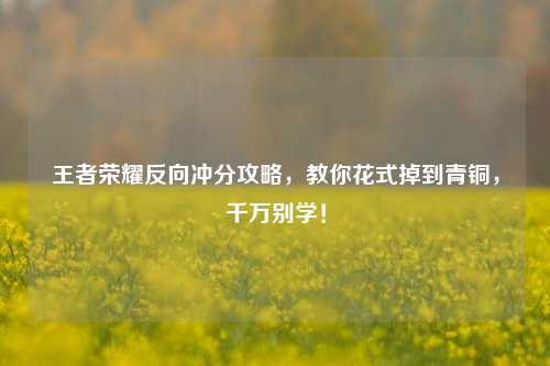 王者荣耀反向冲分攻略，教你花式掉到青铜，千万别学！