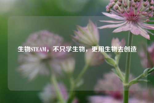 生物STEAM，不只学生物，更用生物去创造