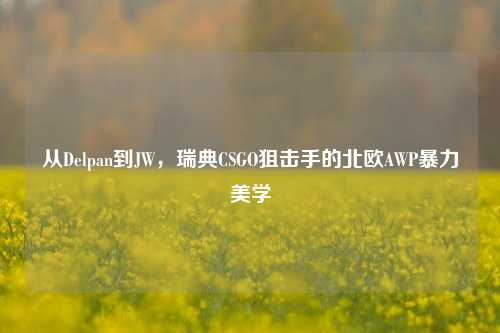 从Delpan到JW，瑞典CSGO狙击手的北欧AWP暴力美学