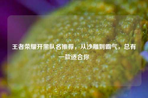 王者荣耀开黑队名推荐,从沙雕到霸气,总有一款适合你