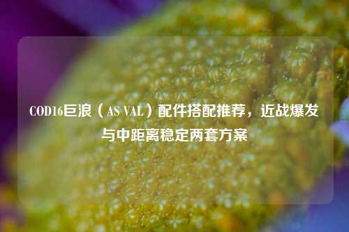 COD16巨浪（AS VAL）配件搭配推荐，近战爆发与中距离稳定两套方案