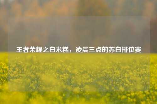 王者荣耀之白米糕，凌晨三点的苏白排位赛