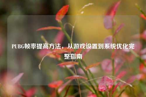 PUBG帧率提高方法,从游戏设置到系统优化完整指南