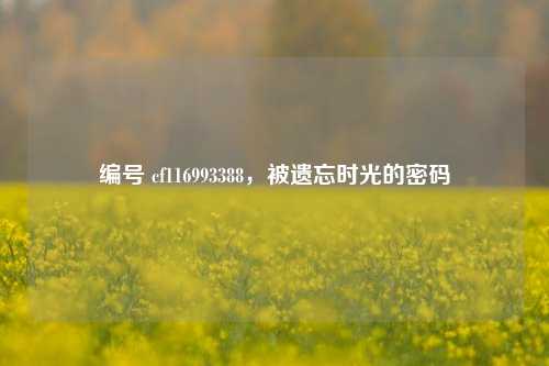 编号 cf116993388，被遗忘时光的密码