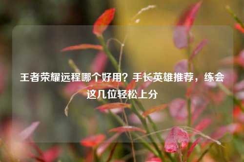 王者荣耀远程哪个好用？手长英雄推荐，练会这几位轻松上分