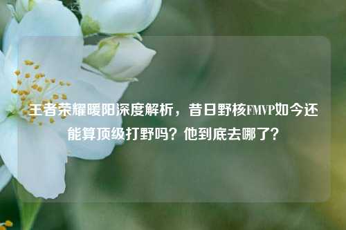 王者荣耀暖阳深度解析，昔日野核FMVP如今还能算顶级打野吗？他到底去哪了？